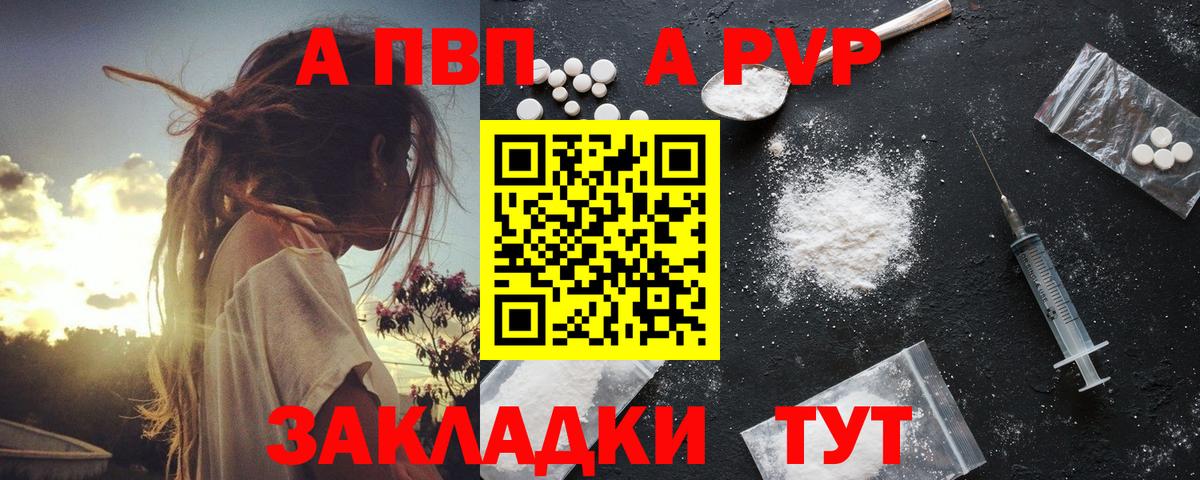 Alfa_PVP СК Шадринск