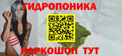 ГАЛЛЮЦИНОГЕННЫЕ ГРИБЫ Нарткала