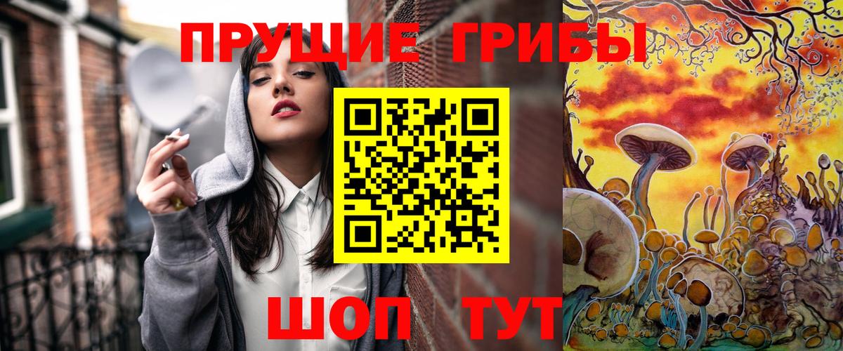 Галлюциногенные грибы Psilocybe  Вход с VPN  Шадринск 